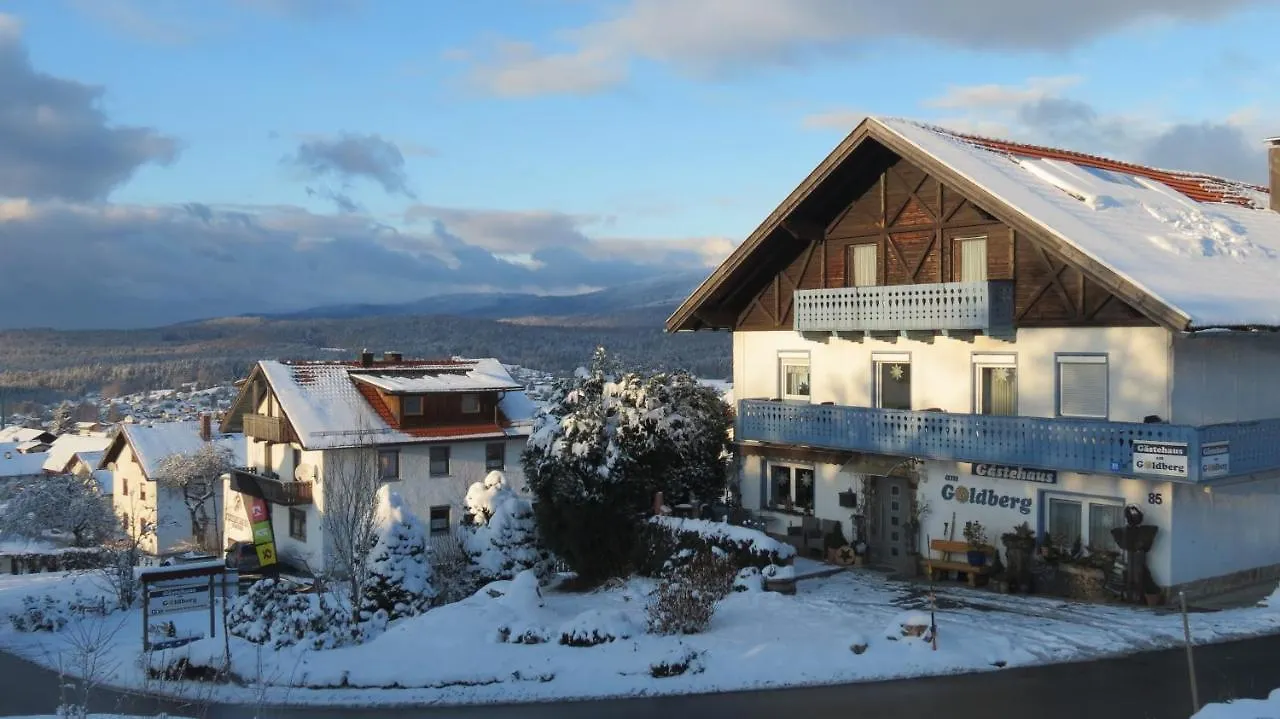 Gaestehaus Am Goldberg Sankt Oswald-Riedlhuette 3*,