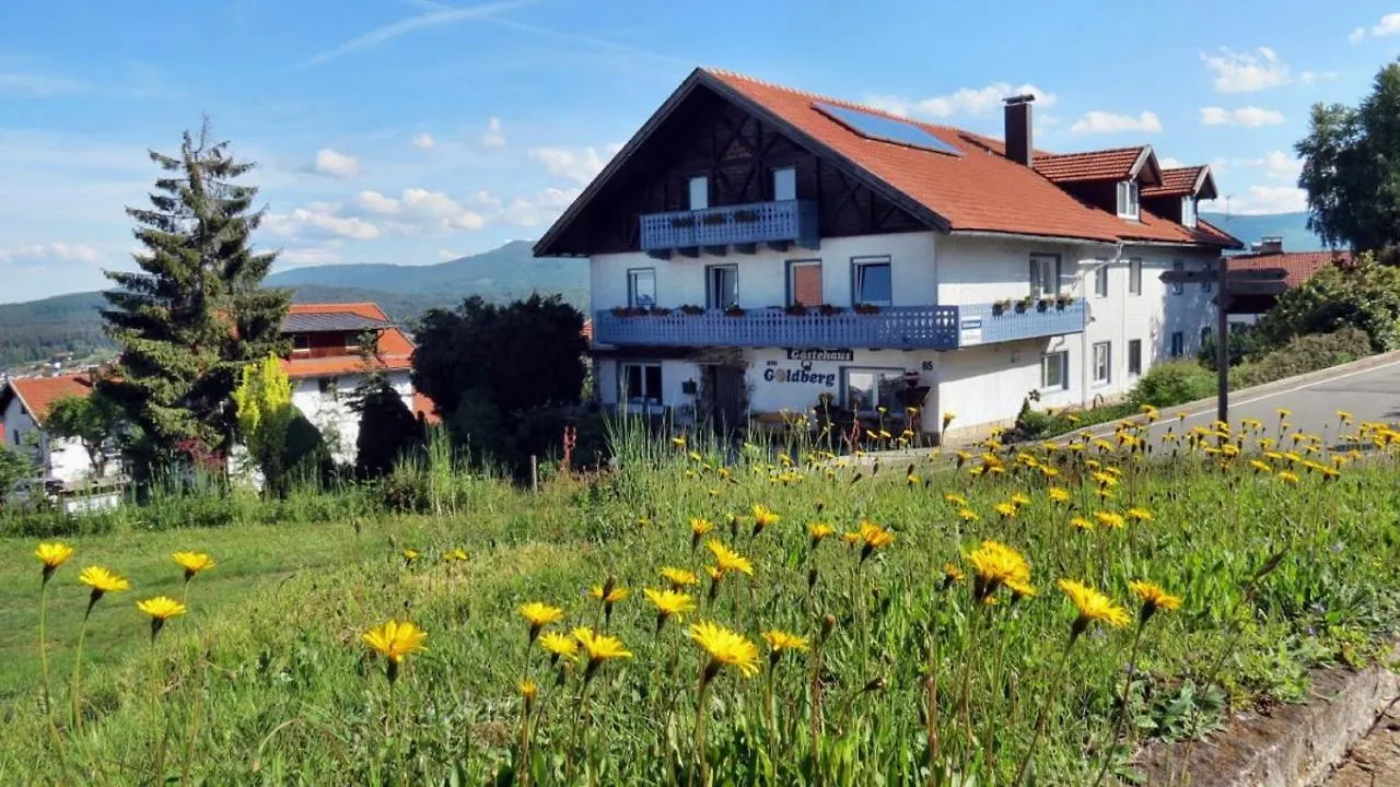 Gaestehaus Am Goldberg Sankt Oswald-Riedlhuette